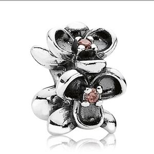 Pandora Wanda's Garden Spacer